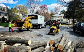 Best Utility Line Clearance  in Pagould, AR